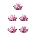 thumbnail image 3 of Guardoinrt Interactive Crystal Growing Experiment Science Kit for Kids Conduct Crystals Red 175x125x60mm 5Set, 3 of 6