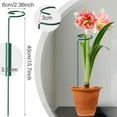thumbnail image 4 of Remiawy 24 Pack 15.7 inch Plant Support Stakes, Metal Plant Stakes Garden Plant Single Stem Support Rings Amaryllis Stakes for Indoor Outdoor Plants, Orchid, Lily, Peony, Rose, Tomato, Monstera, 4 of 7