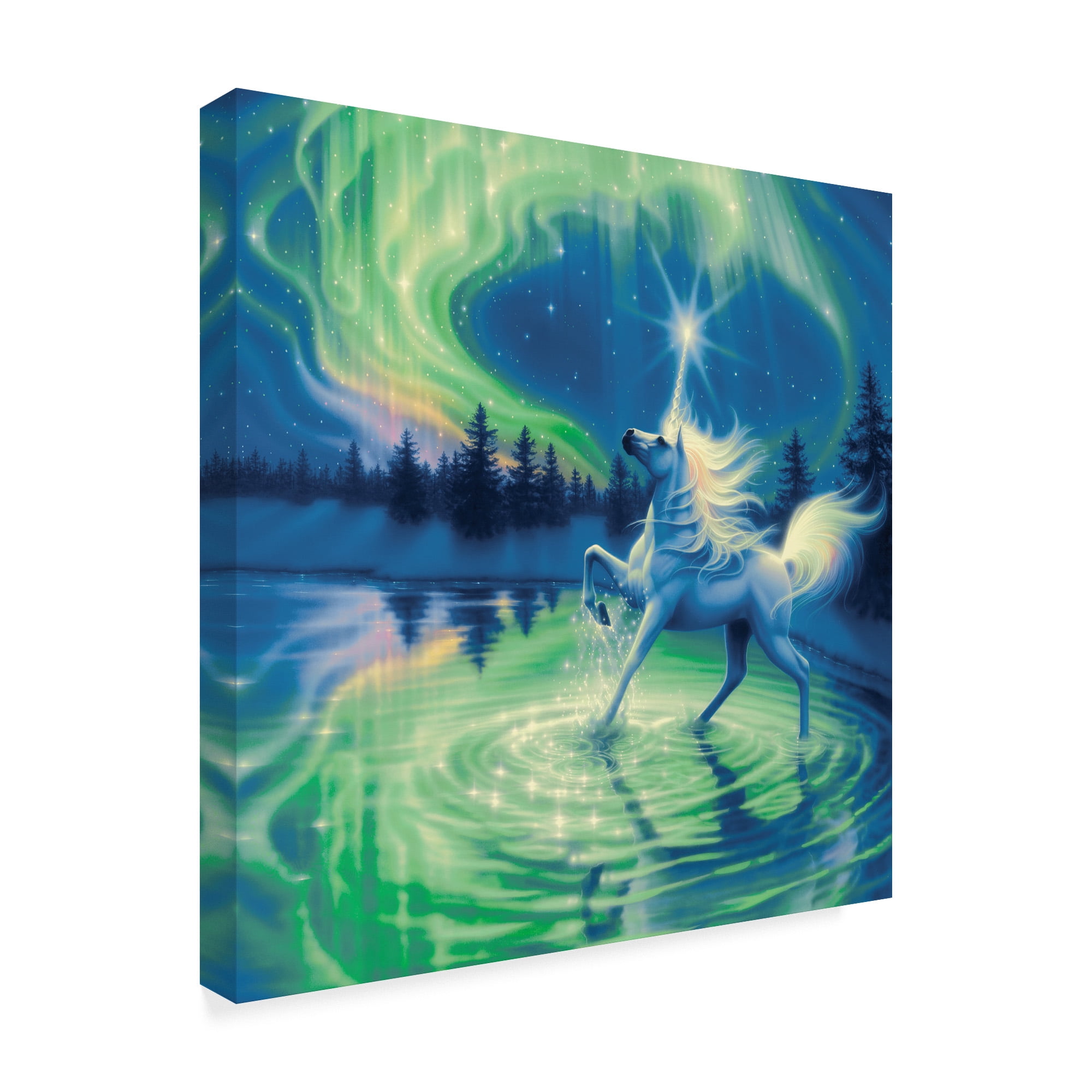 Trademark Fine Art 'Majestic Night' Canvas Art by Kirk Reinert