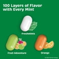 thumbnail image 3 of Tic Tac Flavor Variety Pack, MDA05&nbsp;Bulk 12 Pack, On-The-Go Refreshment, 1 oz Each, 3 of 3