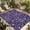 Green Purple Indigo, variant on Pink Purple Leaves Outdoor Rug for Patio/Deck/Porch, Non-Slip Large Area Rug 3 x 5 Ft, Pastoral Botanical Wildflowers Beige Indoor Outdoor Rugs Washable Area Rugs, Camping Rug Carpet Runner