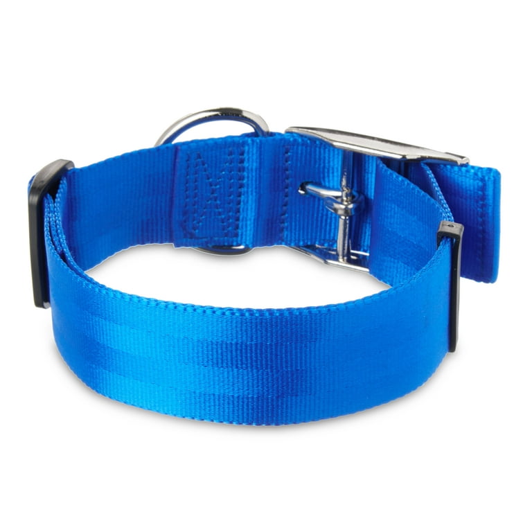 Vibrant Life Solid Nylon Dog Collar with Metal Buckle, Blue, Medium