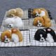 thumbnail image 4 of Muñeco de peluche de perro adorable que emite sonidos, lindo cachorro de perro durmiendo sobre una colchoneta, artículo de decoración y manualidades de peluche, 1 perro durmiendo con una colchoneta, 4 of 5