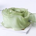 thumbnail image 1 of Namzi Cinta de organza de 10 yardas, cinta transparente de polialgodón, cinta brillante para manualidades, ideal para flores, ramos florales, guirnaldas y envoltorios de regalos de boda. A17, 1 of 5