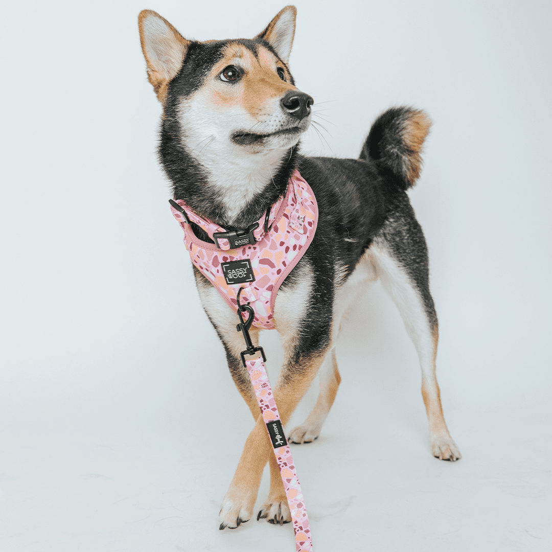 Sassy Woof Comfort Dual-Clip Adjustable Dog Harness - Pink Terrazzo, Extra Small