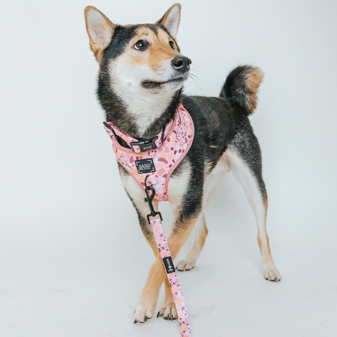 Sassy Woof Pink Terrazzo Dog Leash, 6ft photo 7