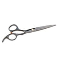 thumbnail image 4 of Salón de acero inoxidable, negro, profesional, para el cabello, tijeras para adelgazar, tijeras, peluquería, juego de herramientas para peinar Baoblaze  Tijeras de pelo de acero inoxidable, 4 of 8