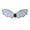 Black, variant on Gupgi Halloween Cosplay Bat Wings for Little Girls and Boys Lightweight Wearable Demon Wings Accessories