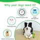 thumbnail image 4 of Juguetes para perros contra el aburrimiento, juguetes interactivos chirriantes para perros pequeños y medianos, juguete suave para la dentición de cachorros, juguetes para perros que se olfatean, 4 of 4