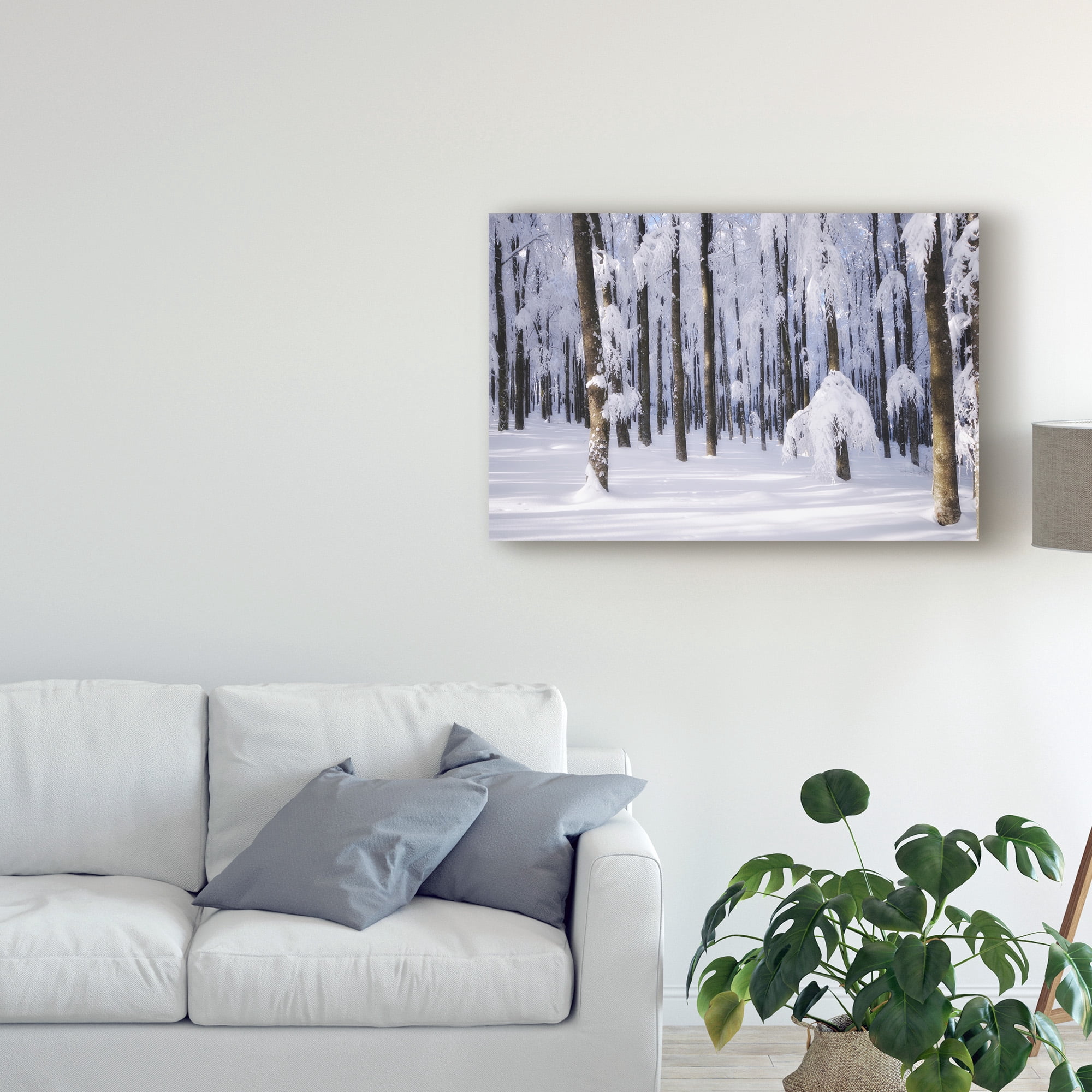 Trademark Fine Art 'White Muslin' Canvas Art by Philippe Sainte-Laudy