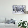 thumbnail image 3 of Trademark Fine Art 'White Muslin' Canvas Art by Philippe Sainte-Laudy, 3 of 4