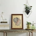thumbnail image 5 of Seashell Ephemera V - Framed Print w/glass - Chestnut, 5 of 7
