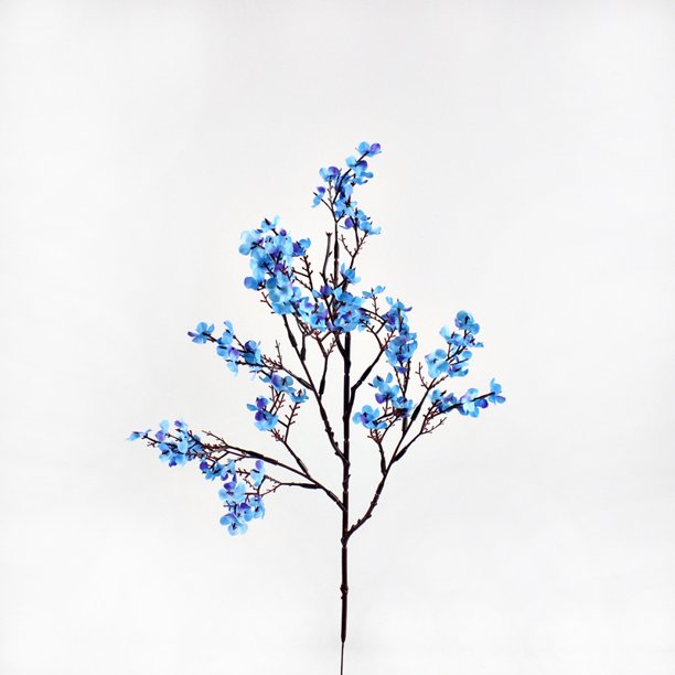 4 Cuerdas - Flor Falsa Gypsophila - Azul Ofspeizc HMFJ151-1