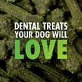 MINTIES Dog Dental Bone Treats, Dental Chews for Medium/Large Dogs Over