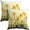 Daffodil, variant on Spring Summer Pillow Covers 18x18 inch Set of 2 Floral Decorative Outdoor Throw Pillow Covers Famliy Decoration for Home Room Couch Sofa Bed