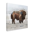 thumbnail image 2 of Jacob Green 'Lodge Guardian I' Canvas Art, 2 of 3