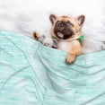 thumbnail image 3 of Disketp Blue Bright Dog Blanket/Bed Cover for Dogs and Cats,Puppy Essentials-Small, 3 of 8
