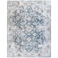 thumbnail image 2 of SAFAVIEH Baltimore Dimas Distressed Polyester Machine Washable Area Rug, Light Gray/Blue, 9' x 12', 2 of 12