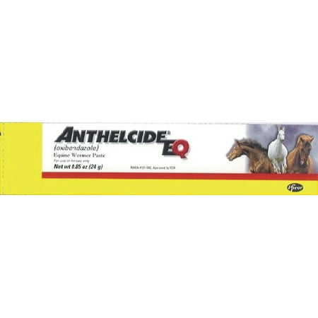 ANTHELCIDE EQ EQUINE WORMER PASTE (Best Horse Wormer For Fall)