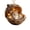 D, variant on Mini Resin Squirrel Christmas Ornament, 3.15 Inch Acorn Hut Hanging Decor, Cute Forest Animal for Tree