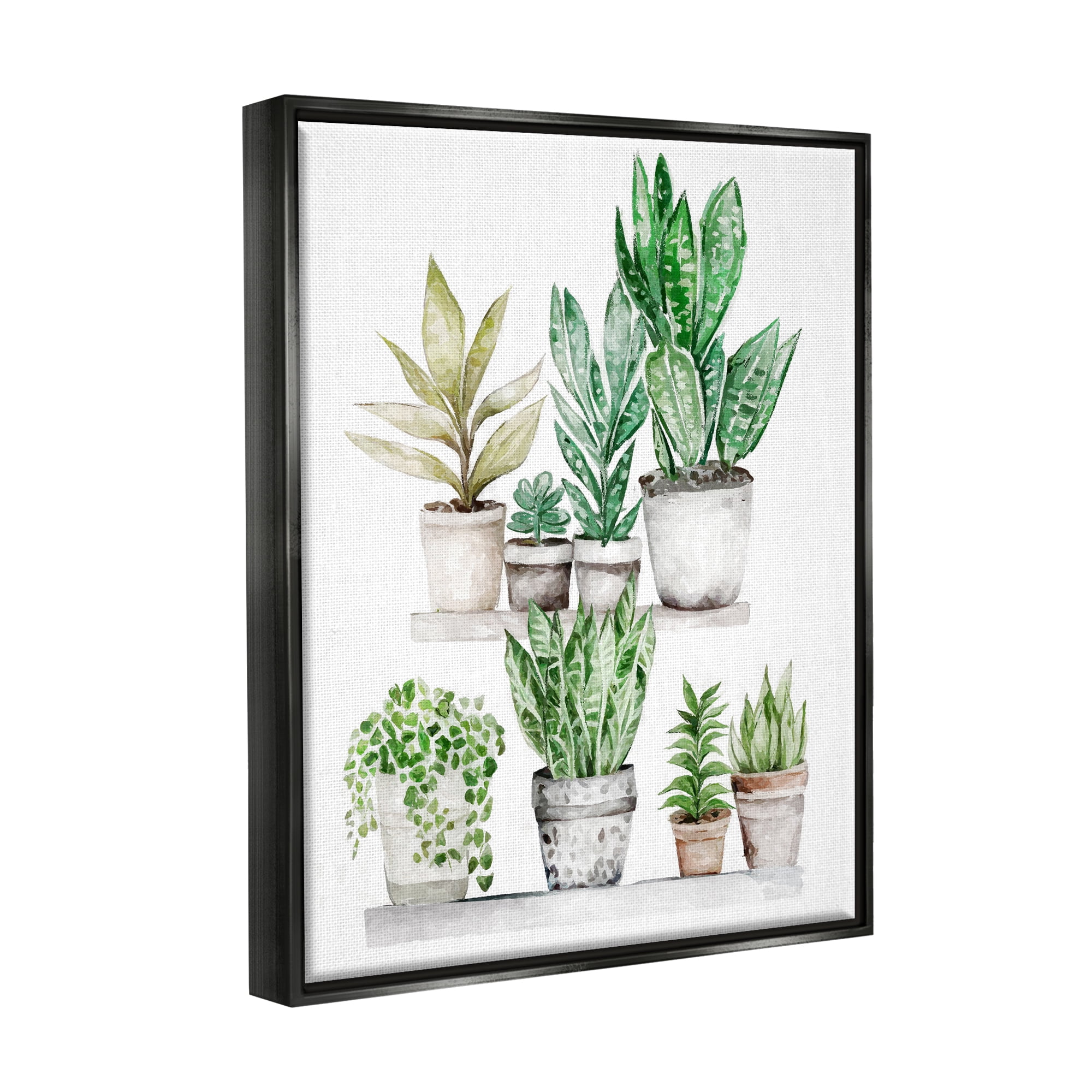 Stupell Industries Mixed Greenery Potted Ivy Plants Botanical & Floral Painting Black Floater Framed Art Print Wall Art
