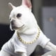 thumbnail image 4 of Collar de perro con cadena de oro Collar de perro lindo Collar de oro para mascotas Joyas de metal ligero para perros Bulldog, 4 of 5