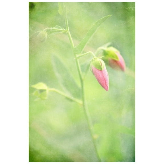 Marmont Hill "Keep Love in Your Heart" by Robert Dickinson Painting Print on Canvas