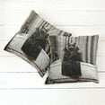thumbnail image 6 of Ambesonne Cat Throw Pillow Cover 2 Pack, Realistic Cool Kitty Mysterious, 24", Grey and Charcoal Grey, 6 of 7