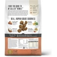 thumbnail image 2 of The Honest Kitchen Whole Food Clusters Grain Free Beef Dry Dog Food, 20 lb Bag, 2 of 10