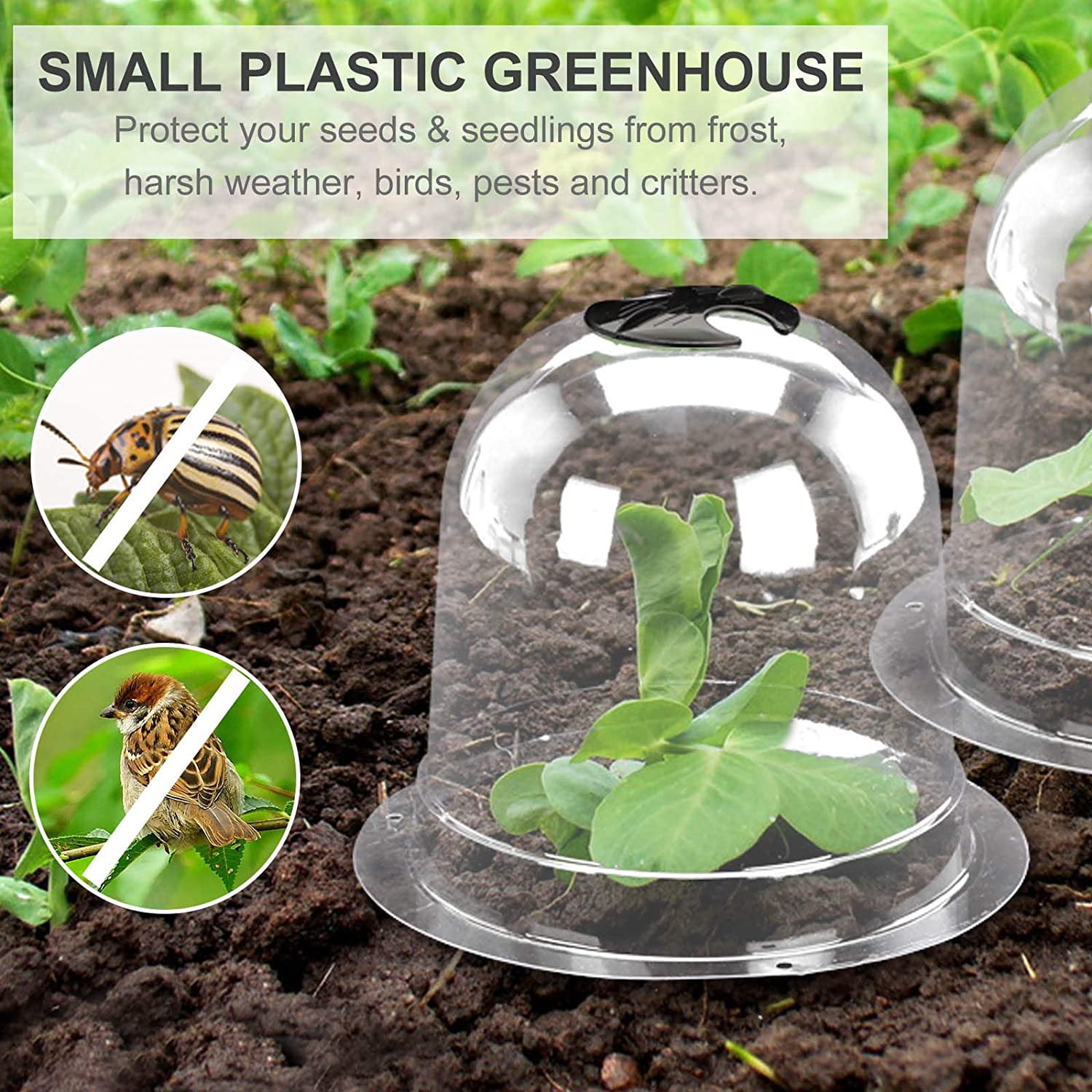 Plant Cloches 10 Pack Plant Protector Covers - Mini Greenhouse Domes With  Stakes & Labels For Garden PVC Plant Bell With Stakes