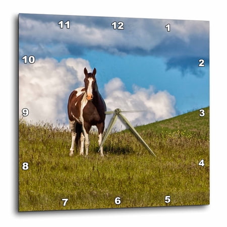 3drose, Usa, Washington State, Saint John. Horse on the Hillside., 15x15 Wall Clock