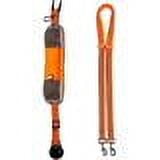 UPC: 0030172096389 | Penn-Plax Quick-Release Adventure Belt and Bungee Leash Combo