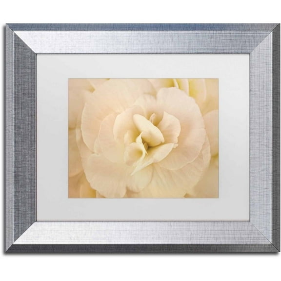 Trademark Fine Art 'Amber Begonia Flower' Canvas Art by Cora Niele, White Matte, Silver Frame