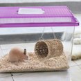 thumbnail image 1 of PAMINGONO Colgante De Paja Natural Para Hamster Con Para Espacios, 1 of 8