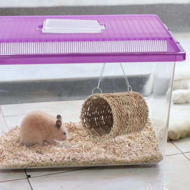 PAMINGONO Colgante De Paja Natural Para Hamster Con Para Espacios