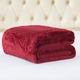 thumbnail image 1 of Warm Fleece Blanket, 1 Ply Lightweight Embossed Bed Blanket, Queen (75"x 91"), 1 of 7