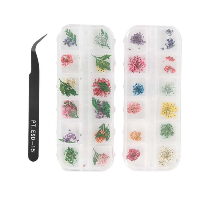 Decoración De Uñas Empaquetada Independientemente, Arte De Uñas Diverso Fácil De Almacenar Y Transportar Flores Secas De Uñas, Tienda De Manicura Salón De Belleza Femenina