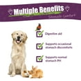thumbnail image 3 of Amber NaturalZ ProTummy Stomach Comfort for Pets | For Occasional Upset Stomach 1oz, 3 of 6