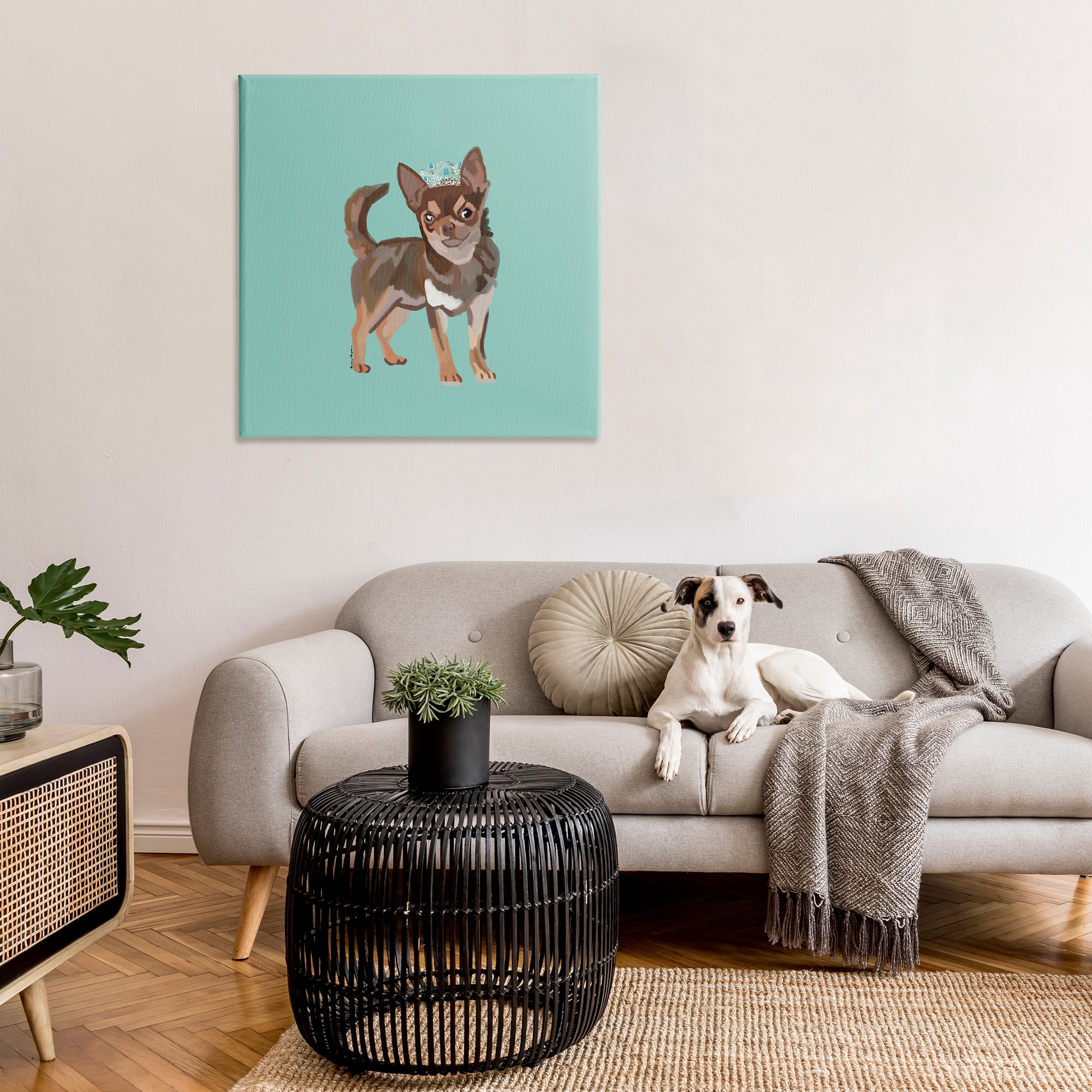 Stupell Industries Chihuahua with Crown Animals & Insects Painting Gallery Wrapped Canvas Art Print Wall Art, 36 x 36