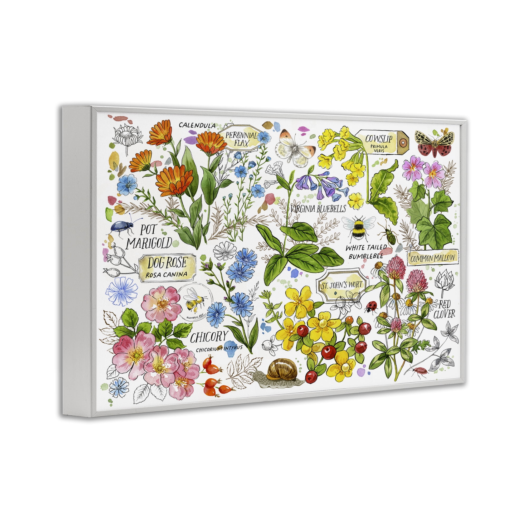 Stupell Industries Various Herbs Benefits Botanical & Floral Painting White Framed Art Print Wall Art, 18 x 12