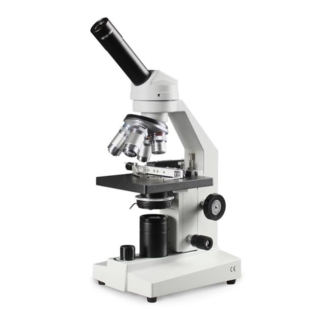 40X to 2000X LED Cordless Microscope Walmart Canada