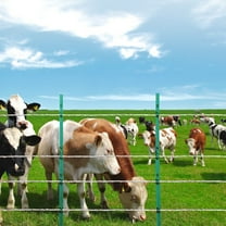 2625Ft 800M Polywire Electric Fence Wire, Durable Horse Cattle Livestock Fencing Solution