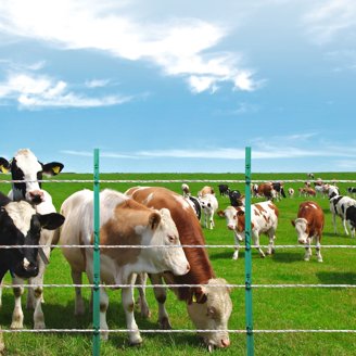 Hilo Cinta Zareba De 200 Mts Cerco Eléctrico Caballo Ganado