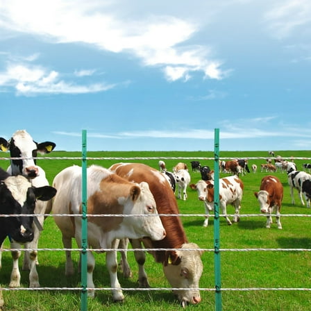 2625Ft 800M Polywire Electric Fence Wire, Durable Horse Cattle Livestock Fencing Solution