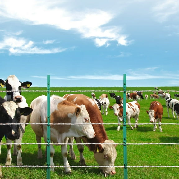 2625Ft 800M Polywire Electric Fence Wire, Durable Horse Cattle Livestock Fencing Solution