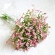 thumbnail image 1 of 16 unids/set de flores artificiales para bebés, Gypsophila falsa DIY, arreglo de ramos florales, boda, hogar, jardín, decoración de fiesta Xemadio 2027248-6, 1 of 6