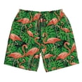 thumbnail image 5 of Goofa Flamingo Printed Mens Swim Trunks Summer Quick Dry Short Beach Swimwear Bathing Suits-XX-Large, 5 of 9