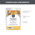 thumbnail image 6 of Butterscotch Maple Cream Scented Wax Melts, Better Homes & Gardens, 5 oz (Value Size), 6 of 11