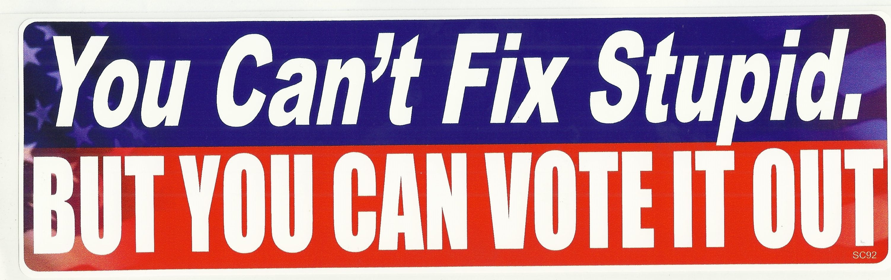 YOU CAN'T FIX STUPID. BUT YOU CAN VOTE IT OUT! Novelty Bumper Sticker