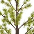 thumbnail image 3 of Vickerman 2' Green Mini Pine Twig Tree, Battery Operated Warm White 3mm LED lights., 3 of 4